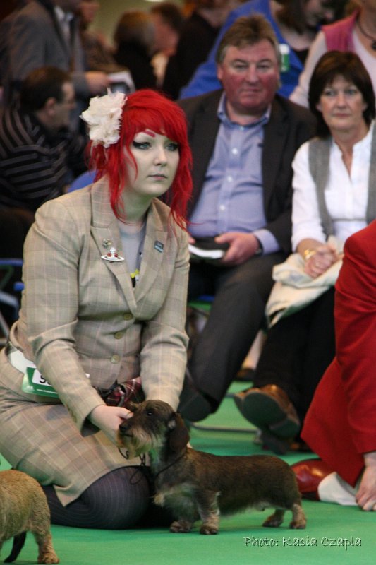 Crufts2010 811.jpg